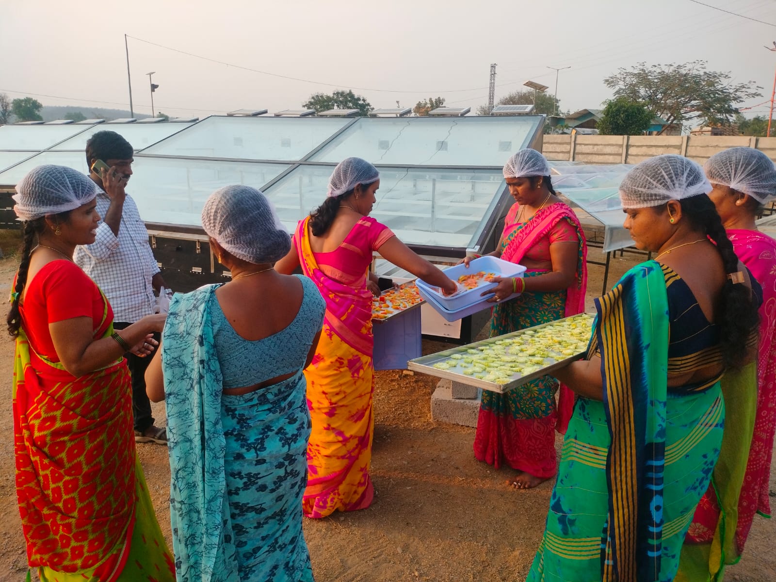 Women loading trays of sliced produce into solar dryers at Dichpally, Telangana