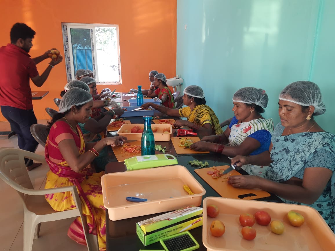 Local women washing and slicing fresh tomatoes ahead of solar drying